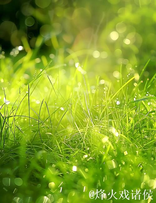 青青草高清视频